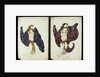 A pair of costume designs for female dancers from 'Juive' by Leon Bakst