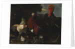 A Hen, Rooster and Turkey in a Farmyard by Melchior de (attr. to) Hondecoeter
