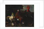 A Hen, Rooster and Turkey in a Farmyard by Melchior de (attr. to) Hondecoeter