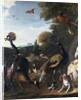 Peacocks and other birds, with a sheep and dog in a landscape by Melchior de Hondecoeter