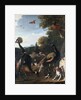 Peacocks and other birds, with a sheep and dog in a landscape by Melchior de Hondecoeter