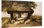 Sheep Resting Under a Shelter by Thomas Sidney Cooper