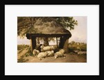 Sheep Resting Under a Shelter by Thomas Sidney Cooper