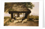 Sheep Resting Under a Shelter by Thomas Sidney Cooper