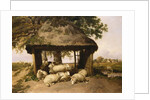 Sheep Resting Under a Shelter by Thomas Sidney Cooper