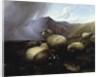 Highland Sheep in a Mountainous Landscape, 1854 by Thomas Sidney Cooper