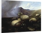 Highland Sheep in a Mountainous Landscape, 1854 by Thomas Sidney Cooper