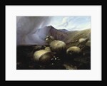 Highland Sheep in a Mountainous Landscape, 1854 by Thomas Sidney Cooper