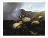 Highland Sheep in a Mountainous Landscape, 1854 by Thomas Sidney Cooper