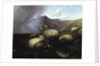 Highland Sheep in a Mountainous Landscape, 1854 by Thomas Sidney Cooper