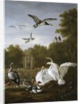 Swans, ducks and other birds in a park by Pieter Casteels