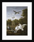 Swans, ducks and other birds in a park by Pieter Casteels