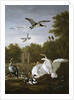 Swans, ducks and other birds in a park by Pieter Casteels