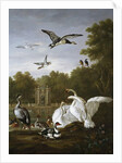 Swans, ducks and other birds in a park by Pieter Casteels