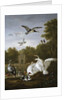 Swans, ducks and other birds in a park by Pieter Casteels