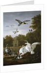 Swans, ducks and other birds in a park by Pieter Casteels