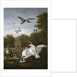 Swans, ducks and other birds in a park by Pieter Casteels