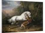 A Tiger attacking an Arab Stallion, 1824 by Charles Towne