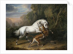 A Tiger attacking an Arab Stallion, 1824 by Charles Towne