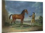 An Arab stallion held by a groom by Sawrey Gilpin