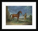 An Arab stallion held by a groom by Sawrey Gilpin