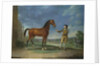 An Arab stallion held by a groom by Sawrey Gilpin