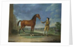 An Arab stallion held by a groom by Sawrey Gilpin