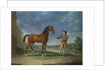 An Arab stallion held by a groom by Sawrey Gilpin
