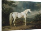 White horse in a wooded landscape, 1791 by Sawrey Gilpin