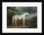 White horse in a wooded landscape, 1791 by Sawrey Gilpin