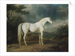 White horse in a wooded landscape, 1791 by Sawrey Gilpin