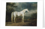 White horse in a wooded landscape, 1791 by Sawrey Gilpin