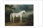White horse in a wooded landscape, 1791 by Sawrey Gilpin