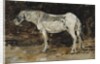 White Horse, c.1885-90 by Eugene Louis Boudin
