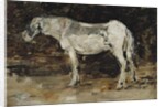 White Horse, c.1885-90 by Eugene Louis Boudin
