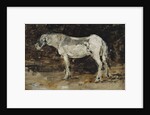 White Horse, c.1885-90 by Eugene Louis Boudin