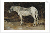 White Horse, c.1885-90 by Eugene Louis Boudin