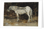 White Horse, c.1885-90 by Eugene Louis Boudin