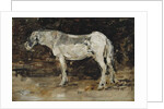 White Horse, c.1885-90 by Eugene Louis Boudin