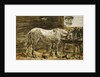White Horse at the Drinking Trough, c.1885-90 by Eugene Louis Boudin