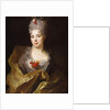 Portrait of a lady by Nicolas de Largilliere