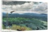 Hilly Landscape, 1894 by Winslow Homer