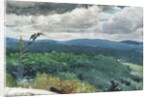 Hilly Landscape, 1894 by Winslow Homer