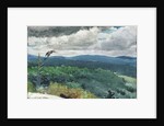 Hilly Landscape, 1894 by Winslow Homer