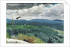 Hilly Landscape, 1894 by Winslow Homer
