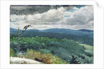 Hilly Landscape, 1894 by Winslow Homer