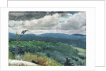 Hilly Landscape, 1894 by Winslow Homer