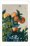 Oranges on a Branch, 1885 by Winslow Homer