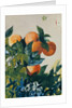 Oranges on a Branch, 1885 by Winslow Homer