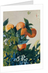 Oranges on a Branch, 1885 by Winslow Homer